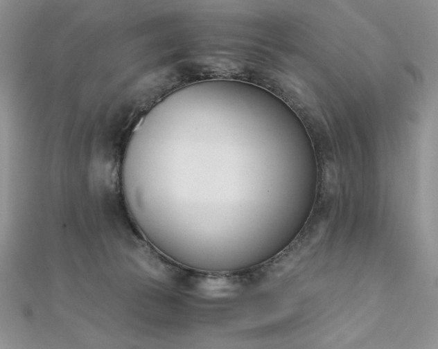 X0000113170177200909041329