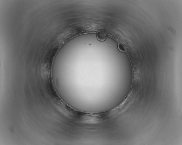X0000113170179200909041330