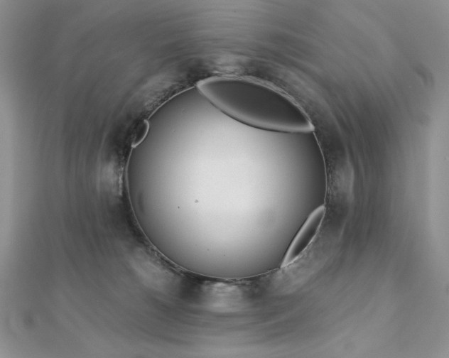 X0000113170180200909041330