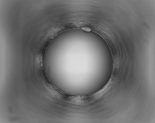 X0000113170182200909041330