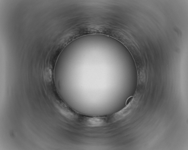 X0000113170183200909041330