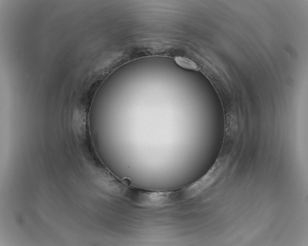 X0000113170184200909041330