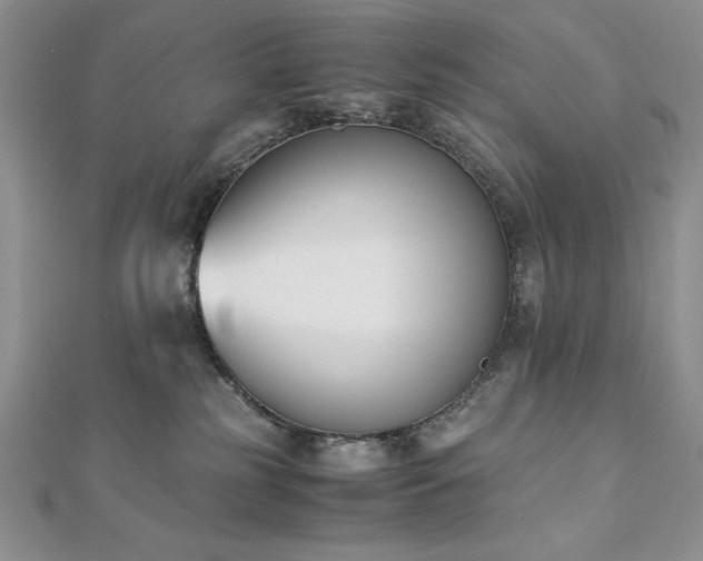 X0000113170185200909041330