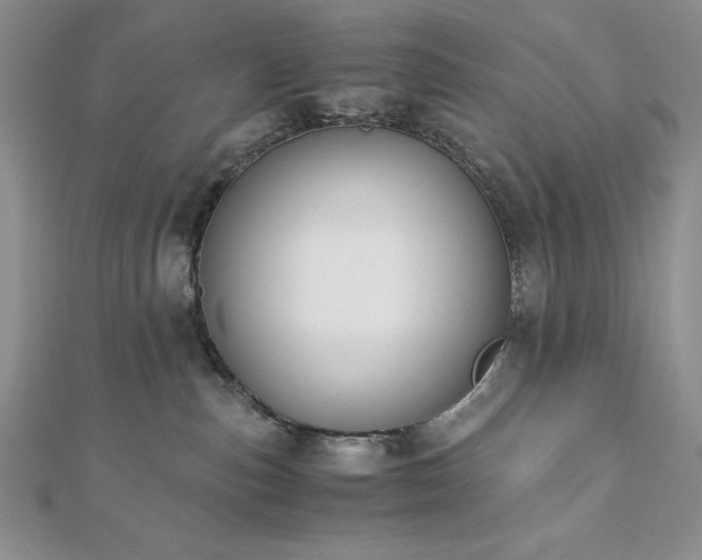 X0000113170187200909041330