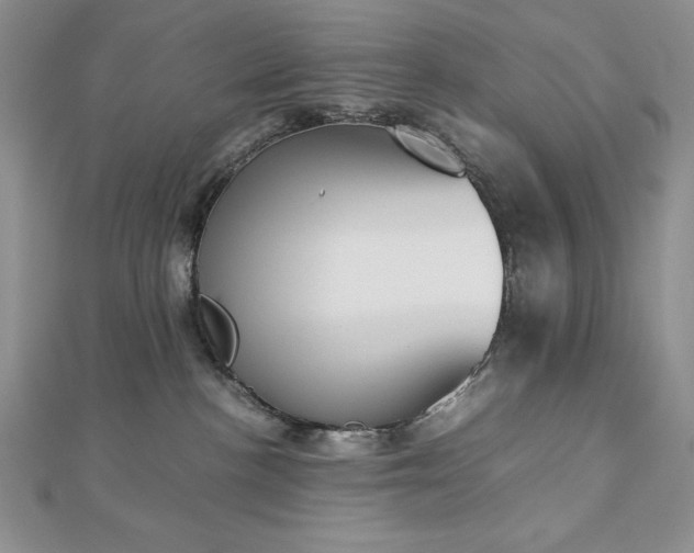 X0000113170188200909041330