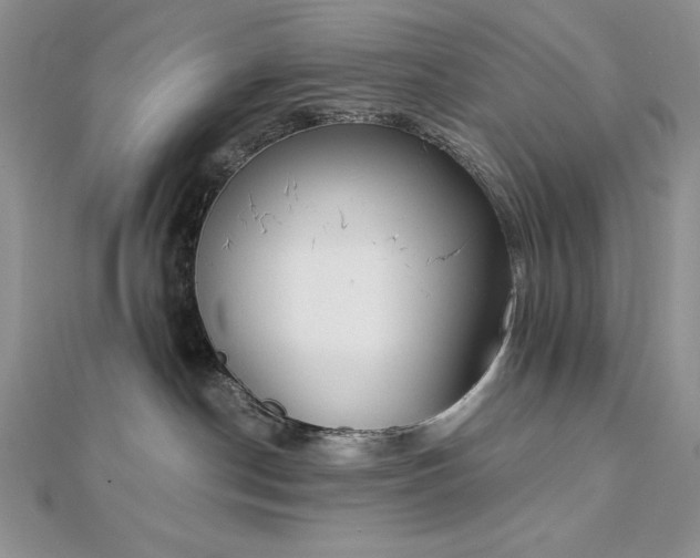 X0000113170190200909041330