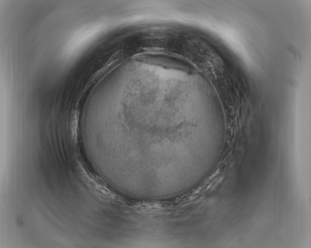 X0000113170194200909041329