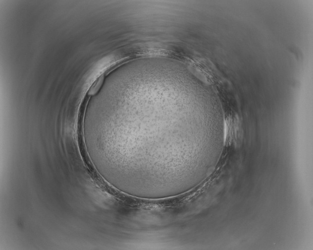 X0000113170195200909041329
