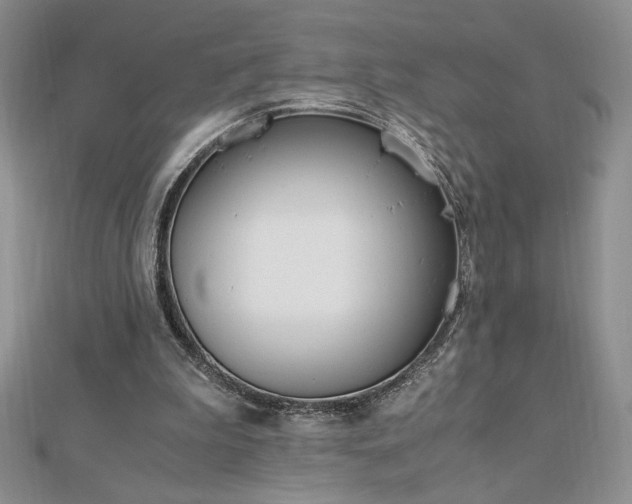 X0000113170199200909041329