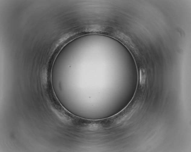 X0000113170204200909041329