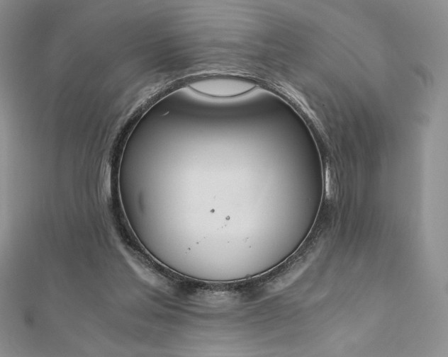 X0000113170205200909041329