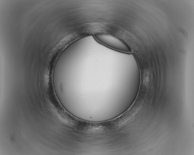 X0000113170206200909041329