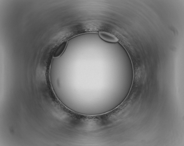 X0000113170209200909041329