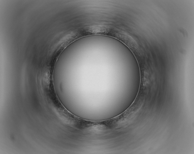X0000113170210200909041329