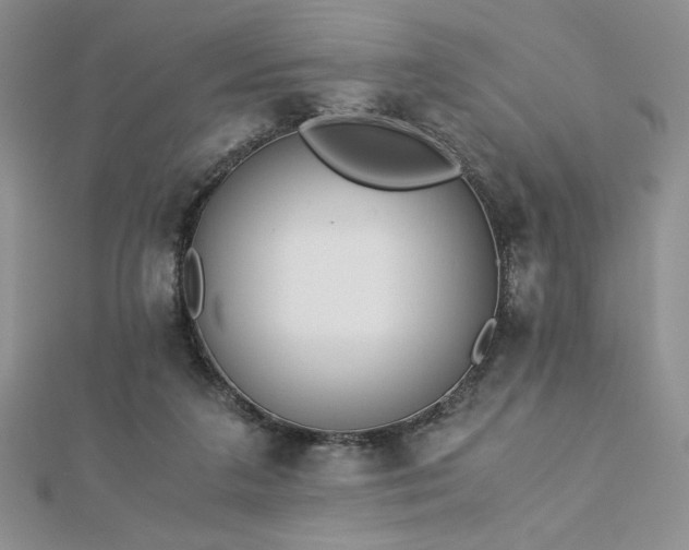 X0000113170211200909041329