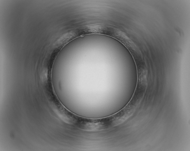 X0000113170213200909041329