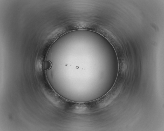 X0000113170214200909041329