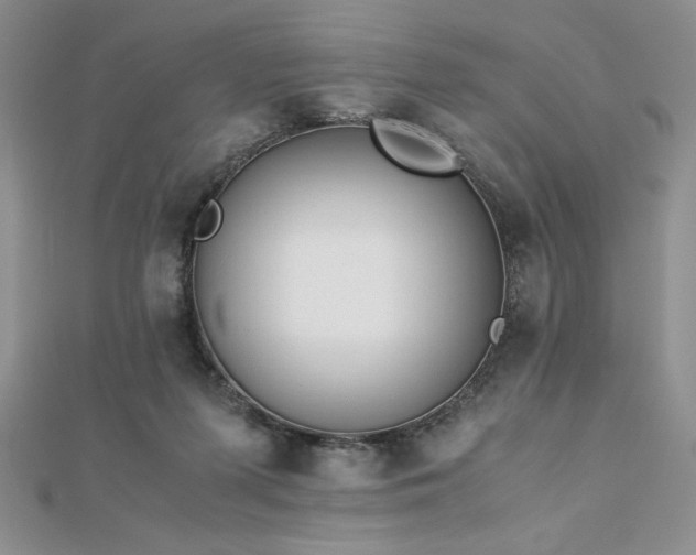 X0000113170215200909041329