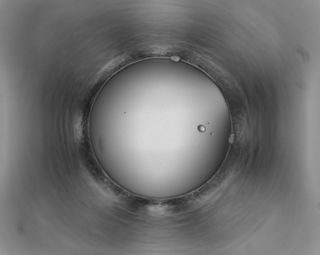X0000113170216200909041329