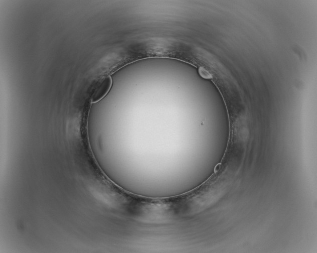 X0000113170217200909041329