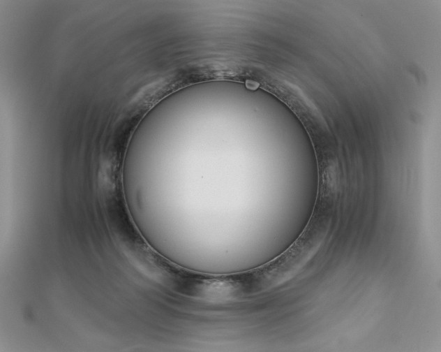 X0000113170218200909041329