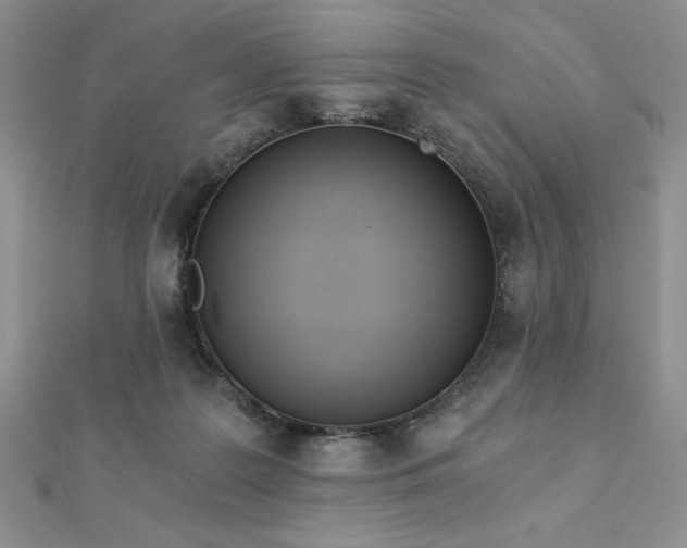 X0000113170219200909041329