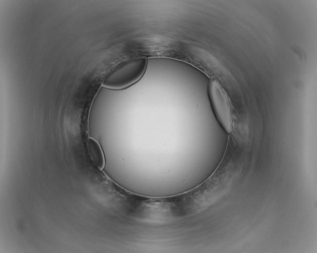 X0000113170221200909041329