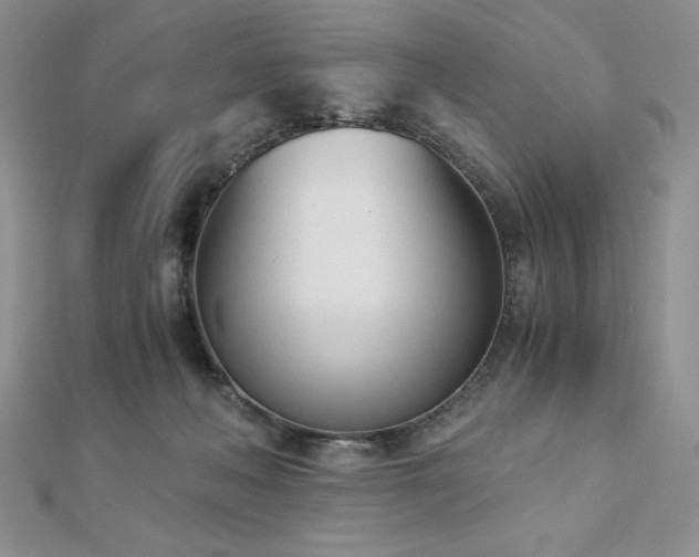 X0000113170222200909041329