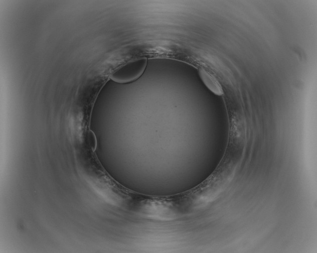 X0000113170223200909041329