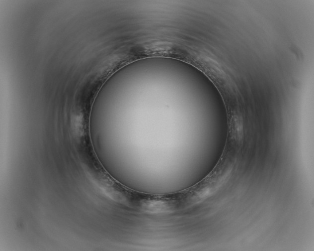 X0000113170224200909041329