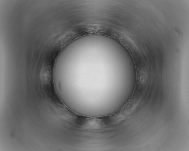X0000113170226200909041329