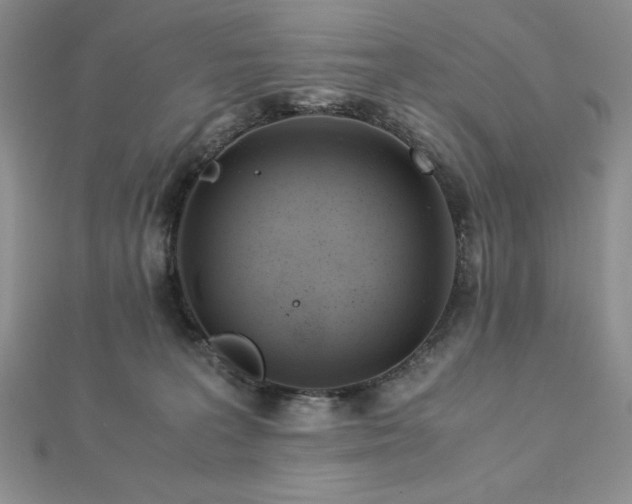 X0000113170227200909041329