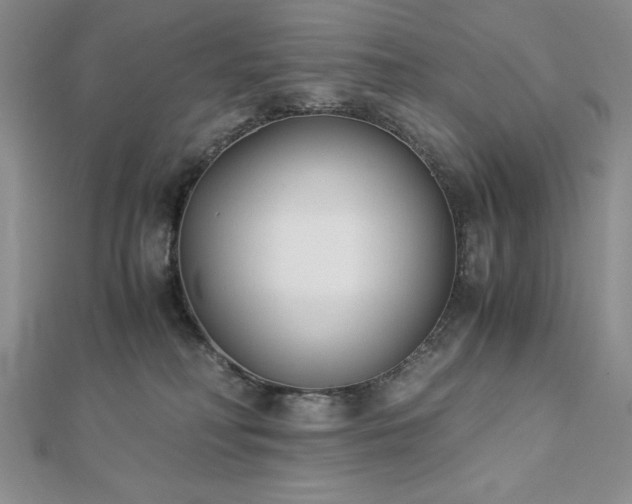 X0000113170230200909041329