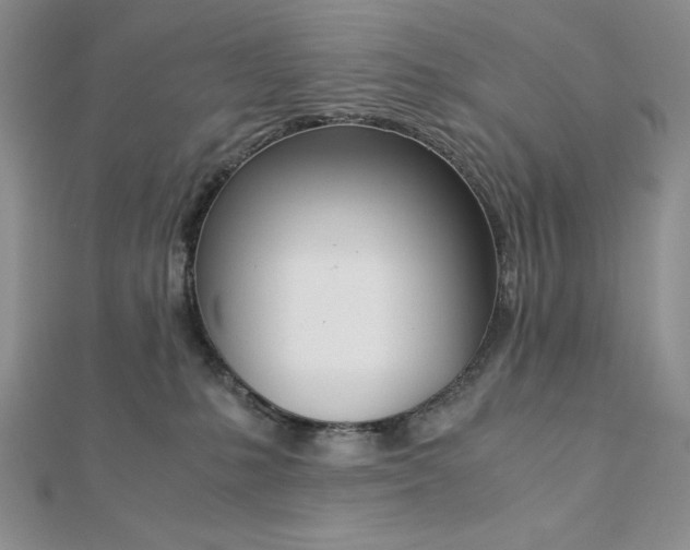 X0000113170231200909041329