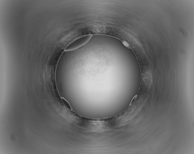 X0000113170233200909041329