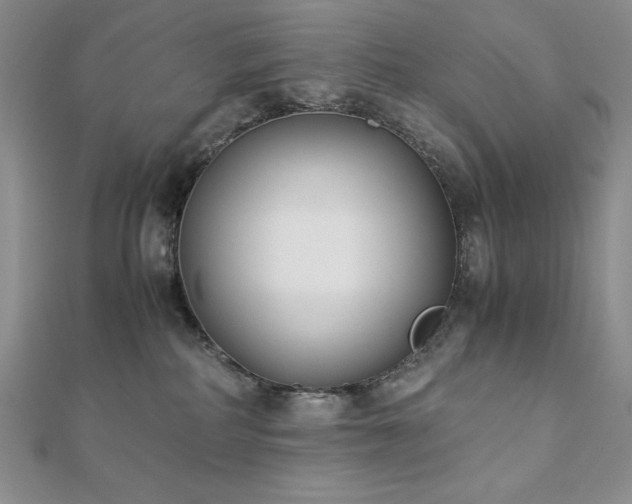 X0000113170234200909041329