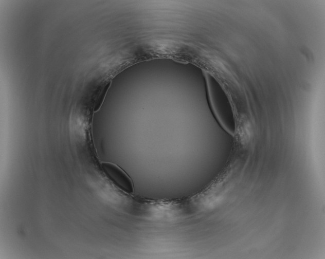 X0000113170235200909041329