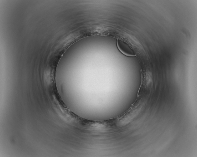 X0000113170236200909041329