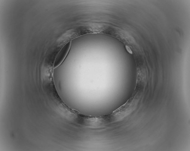 X0000113170237200909041329