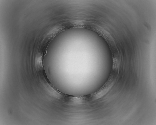 X0000113170238200909041329
