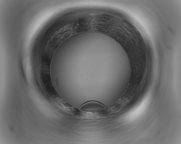 X0000113170239200909041328