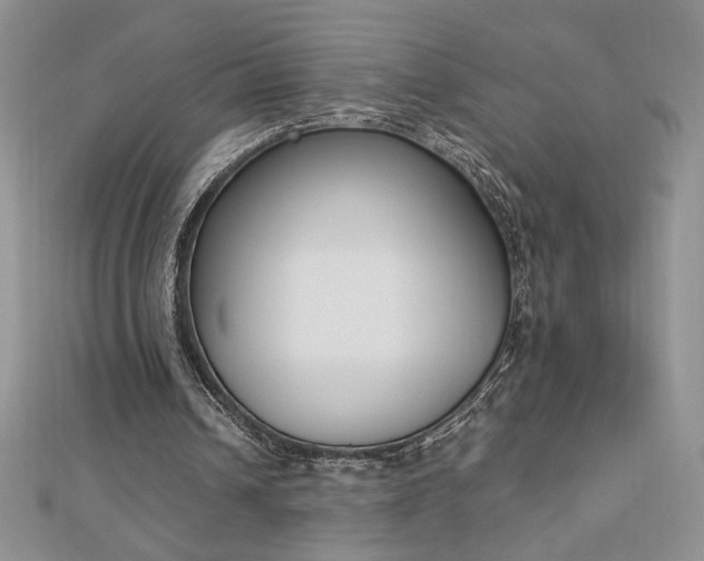 X0000113170242200909041328