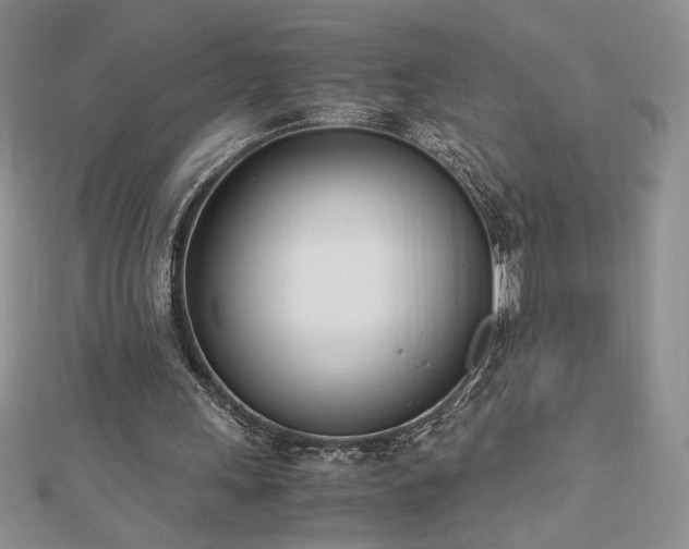 X0000113170243200909041328