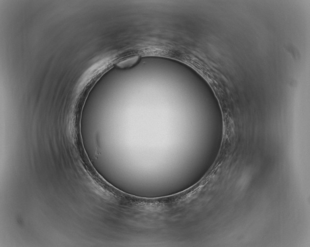 X0000113170245200909041328