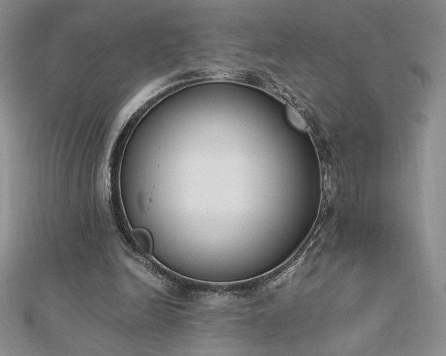 X0000113170246200909041328