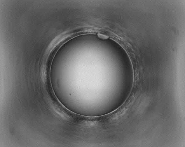 X0000113170247200909041328