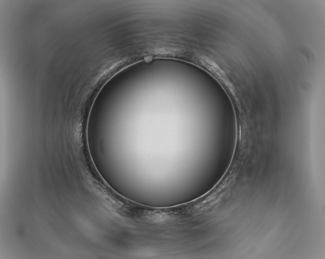 X0000113170249200909041328