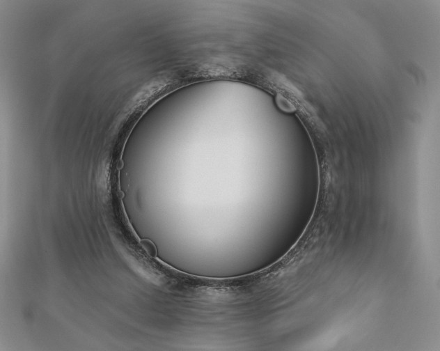 X0000113170250200909041328