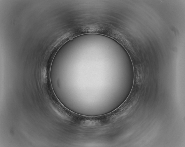 X0000113170251200909041328