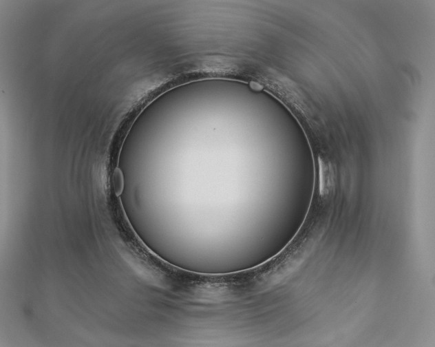 X0000113170252200909041328